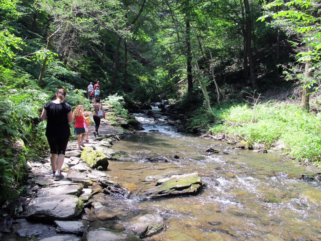 A group of people hiking along a stream in a forest A group of people hiking along a stream in a forest